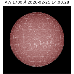 saia - 2026-02-25T14:00:28.717000