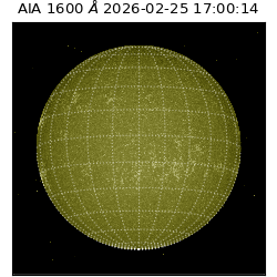 saia - 2026-02-25T17:00:14.125000