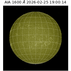 saia - 2026-02-25T19:00:14.117000