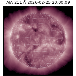 saia - 2026-02-25T20:00:09.633000