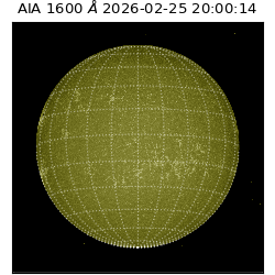 saia - 2026-02-25T20:00:14.125000