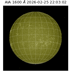 saia - 2026-02-25T22:03:02.126000