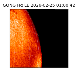 gong - 2026-02-25T01:00:42