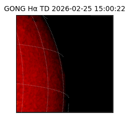 gong - 2026-02-25T15:00:22