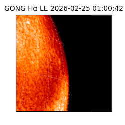 gong - 2026-02-25T01:00:42