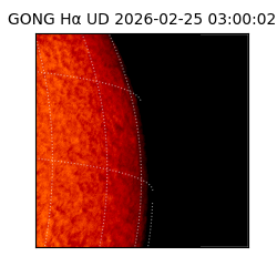 gong - 2026-02-25T03:00:02