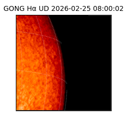gong - 2026-02-25T08:00:02