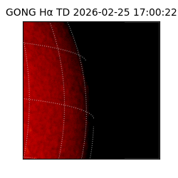 gong - 2026-02-25T17:00:22