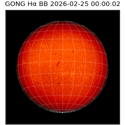 gong - 2026-02-25T00:00:02