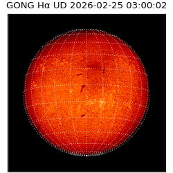 gong - 2026-02-25T03:00:02
