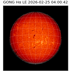 gong - 2026-02-25T04:00:42