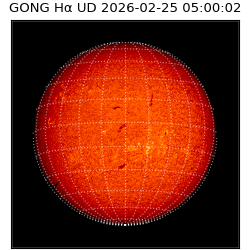 gong - 2026-02-25T05:00:02