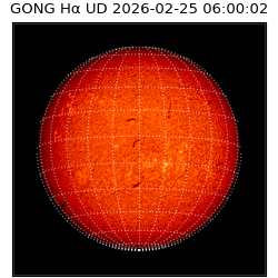 gong - 2026-02-25T06:00:02