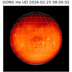 gong - 2026-02-25T08:00:02