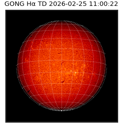 gong - 2026-02-25T11:00:22