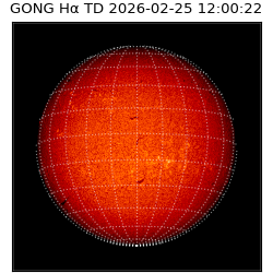 gong - 2026-02-25T12:00:22