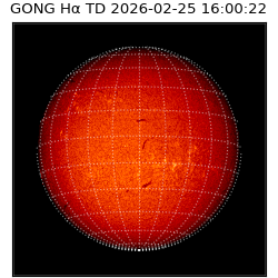 gong - 2026-02-25T16:00:22