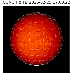 gong - 2026-02-25T17:00:22
