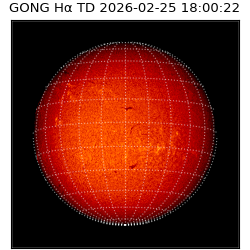 gong - 2026-02-25T18:00:22