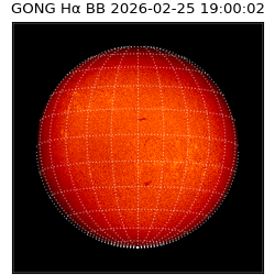 gong - 2026-02-25T19:00:02