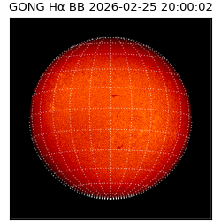 gong - 2026-02-25T20:00:02