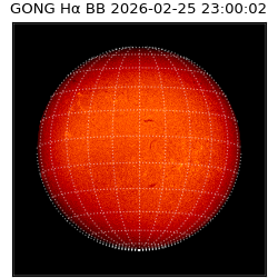 gong - 2026-02-25T23:00:02
