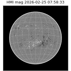 shmi - 2026-02-25T07:58:33.100000