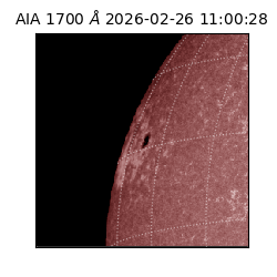 saia - 2026-02-26T11:00:28.717000