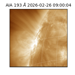 saia - 2026-02-26T09:00:04.835000