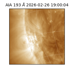 saia - 2026-02-26T19:00:04.843000