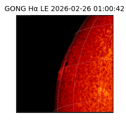gong - 2026-02-26T01:00:42