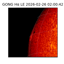 gong - 2026-02-26T02:00:42
