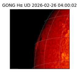 gong - 2026-02-26T04:00:02