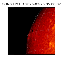 gong - 2026-02-26T05:00:02
