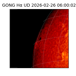 gong - 2026-02-26T06:00:02