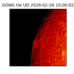 gong - 2026-02-26T10:00:02