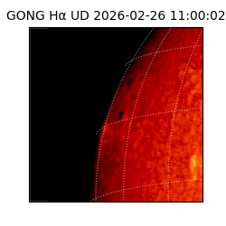 gong - 2026-02-26T11:00:02