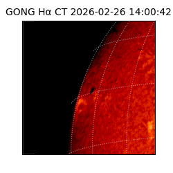 gong - 2026-02-26T14:00:42