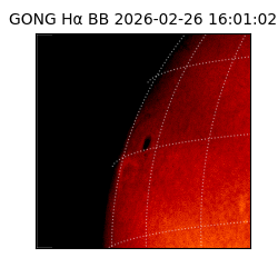 gong - 2026-02-26T16:01:02