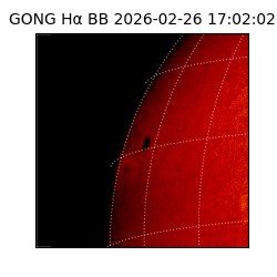gong - 2026-02-26T17:02:02