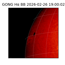 gong - 2026-02-26T19:00:02