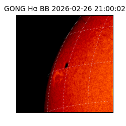 gong - 2026-02-26T21:00:02