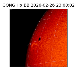 gong - 2026-02-26T23:00:02