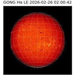 gong - 2026-02-26T02:00:42