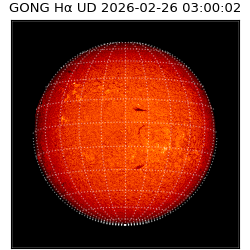 gong - 2026-02-26T03:00:02
