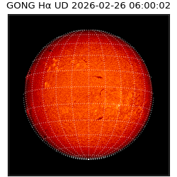 gong - 2026-02-26T06:00:02