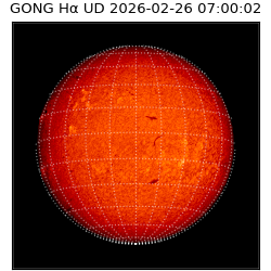 gong - 2026-02-26T07:00:02
