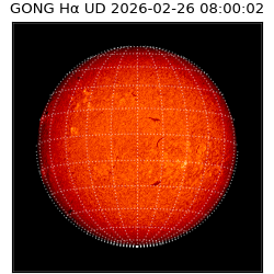 gong - 2026-02-26T08:00:02