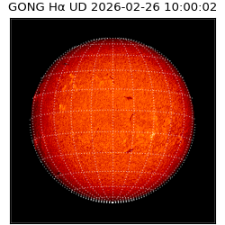 gong - 2026-02-26T10:00:02