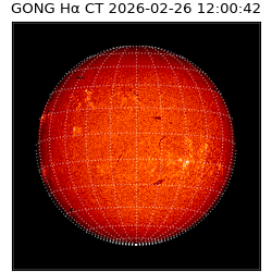 gong - 2026-02-26T12:00:42